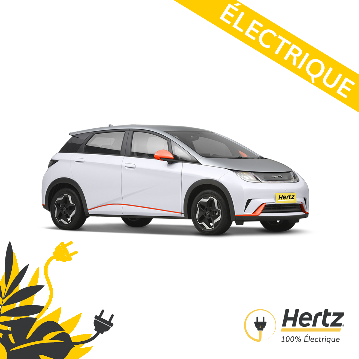 BYD Dophin Electrique Profitez de notre réseau de borne gratuit ! Téléchargez Hivy !